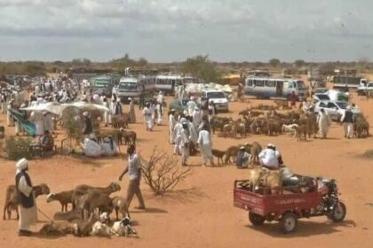 نزوح 7 آلاف أسرة من النهود والخوي بغرب كردفان خلال يومين