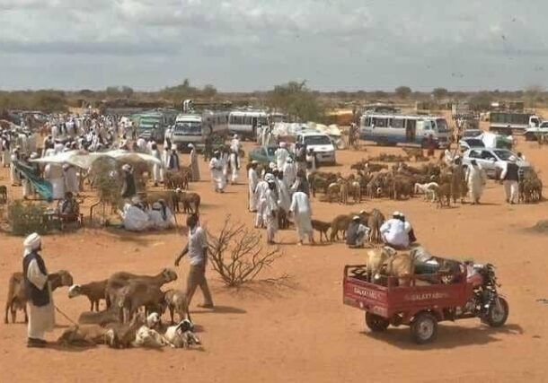 نزوح 7 آلاف أسرة من النهود والخوي بغرب كردفان خلال يومين